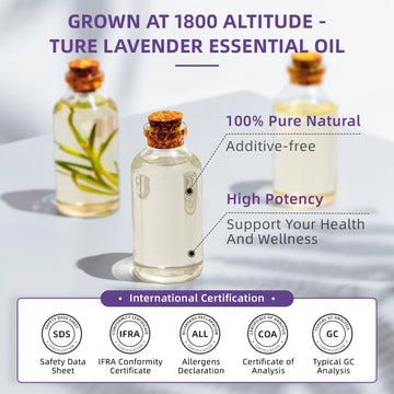HumiHub Essentials™